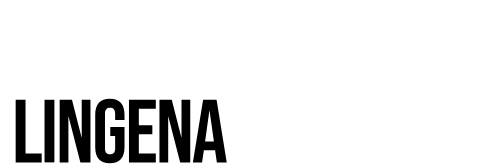 FEUERWEHRFEST LINGENAU 2026